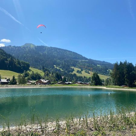 Chaleureux Appartement Renove Ambiance Chalet Praz-sur-Arly Luaran gambar