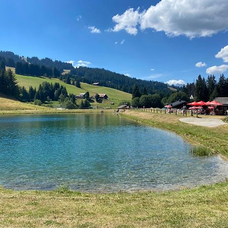 Chaleureux Appartement Renove Ambiance Chalet Praz-sur-Arly Luaran gambar