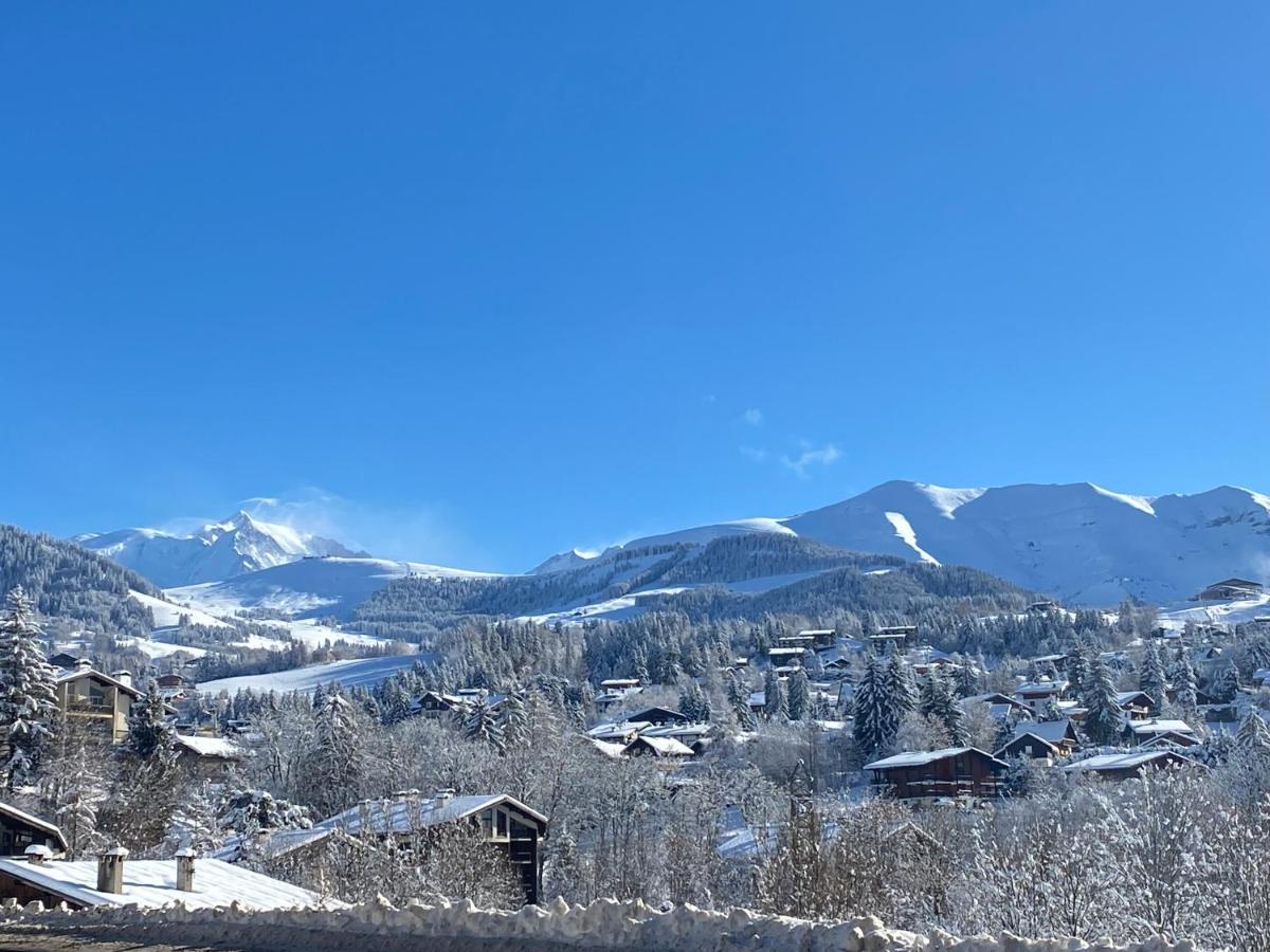 Chaleureux Appartement Renove Ambiance Chalet Praz-sur-Arly Luaran gambar