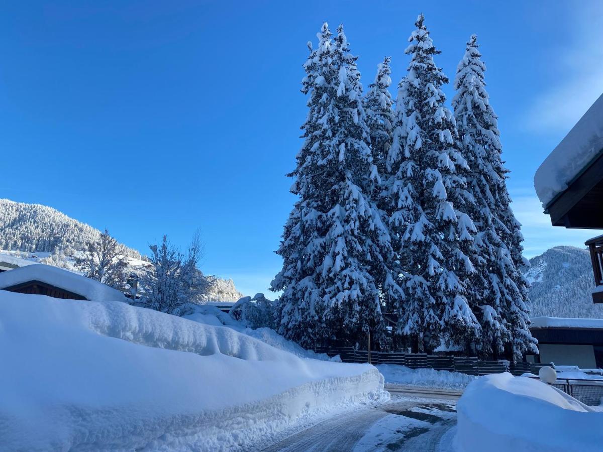 Chaleureux Appartement Renove Ambiance Chalet Praz-sur-Arly Luaran gambar