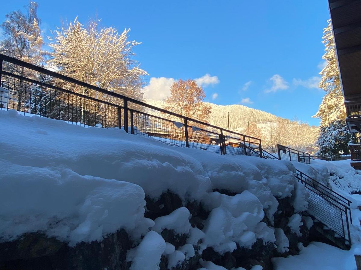 Chaleureux Appartement Renove Ambiance Chalet Praz-sur-Arly Luaran gambar