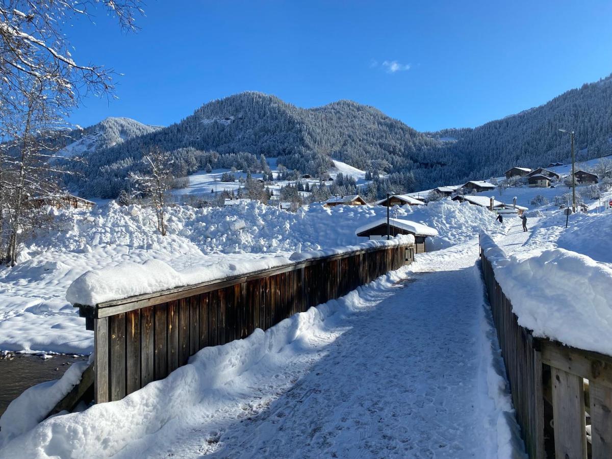 Chaleureux Appartement Renove Ambiance Chalet Praz-sur-Arly Luaran gambar