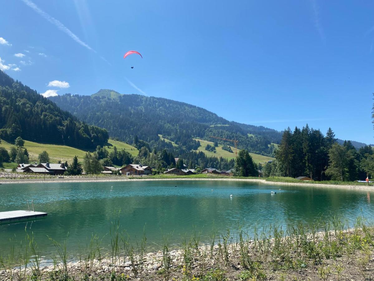 Chaleureux Appartement Renove Ambiance Chalet Praz-sur-Arly Luaran gambar