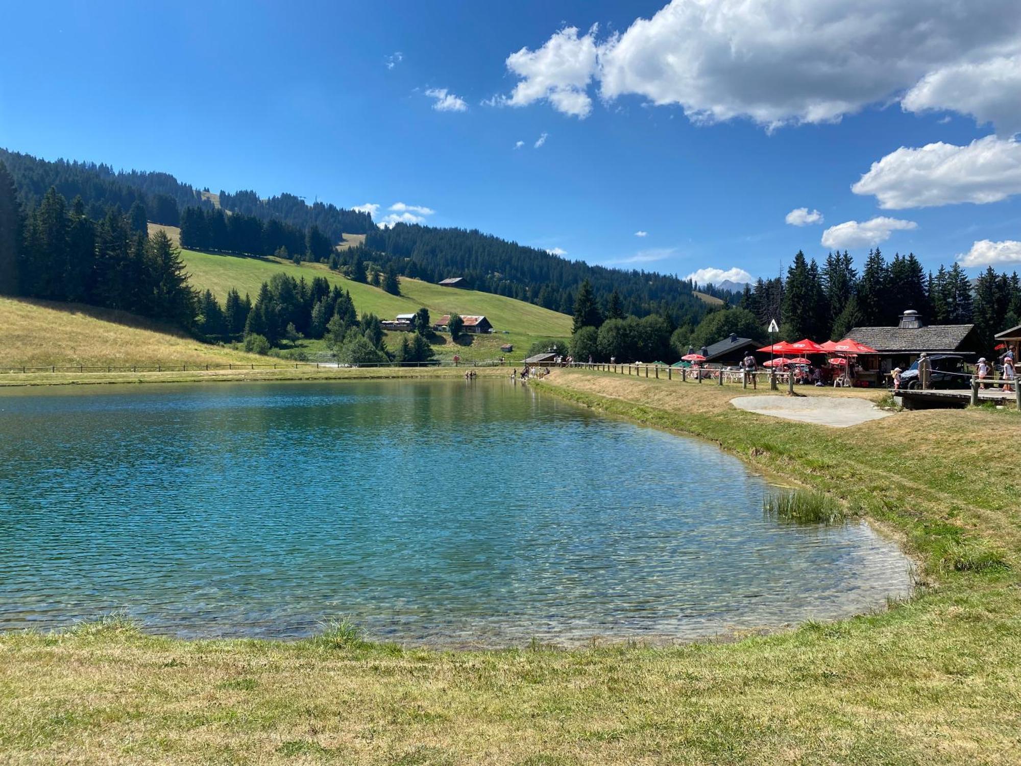 Chaleureux Appartement Renove Ambiance Chalet Praz-sur-Arly Luaran gambar